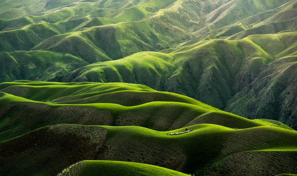Rolling hills of nature