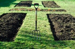 Raised bed with sunken trough