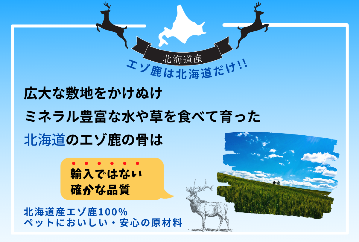 Yezo deer live only in Hokkaido