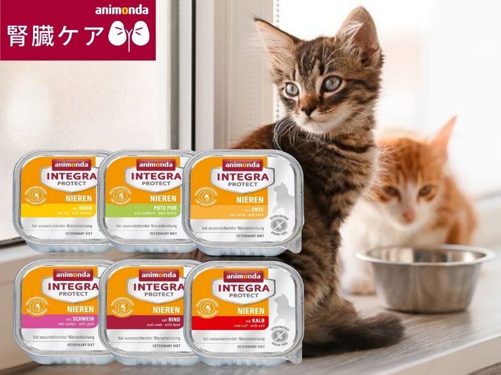 正規逆輸入品】 猫用 腎ケア フード 各種 savingssafari.com