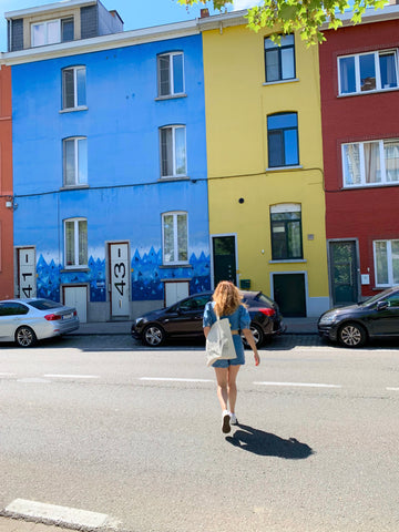 Colorful Streets of Leuven