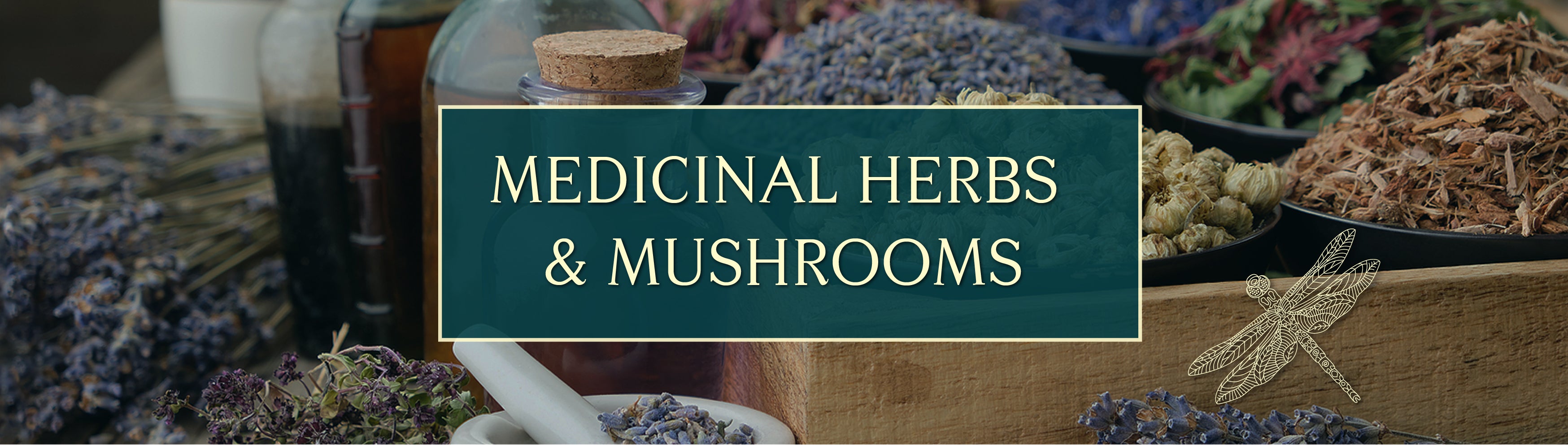 Medicinal Herbs & Mushrooms - Dragonfly Herbs