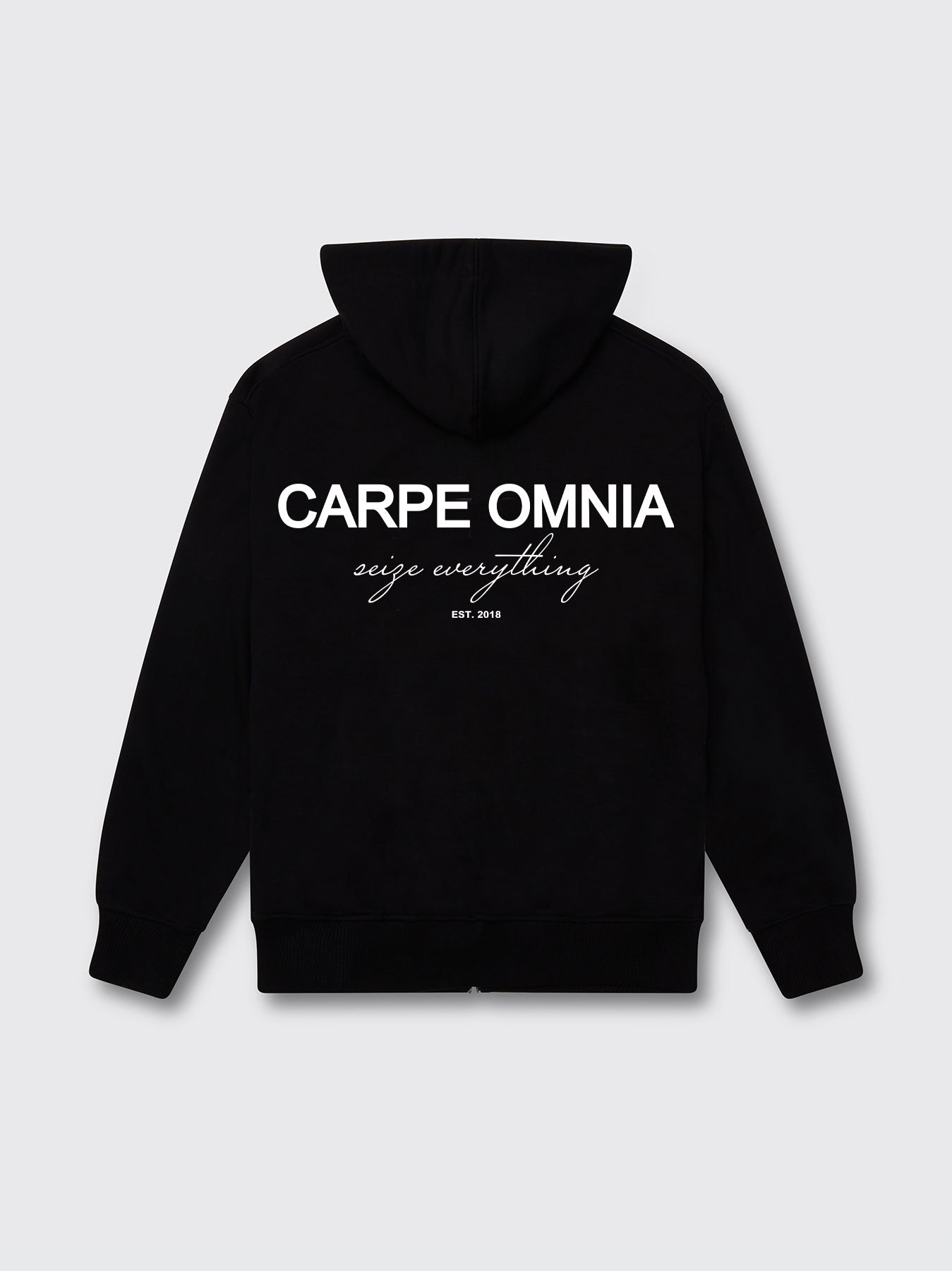 Definition 2.0 Hoodie Black - CARPE OMNIA UK product image