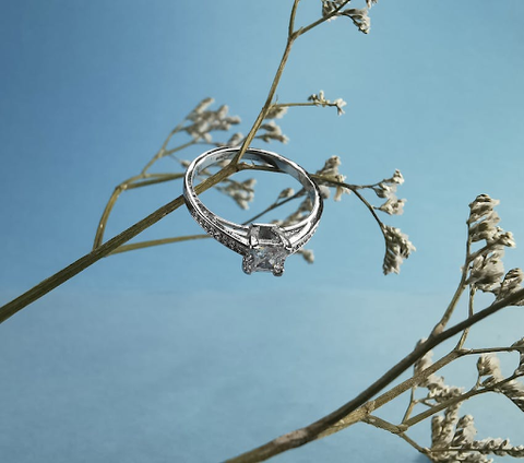 A silver and diamond ring hanging on the branch of a small plant.