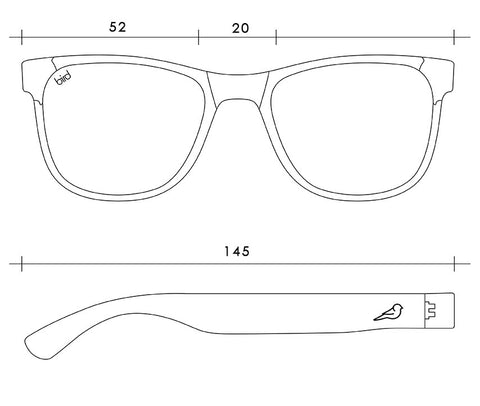 Bird Sunglasses-Sustainable Eco-Friendly glasses for Women and Men Frame measurements