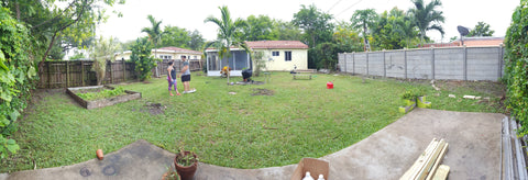 Panoramic shot of Miami backyard with weeds and shrubs removed