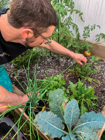 Rob inspecting the crops in our South Florida home garden