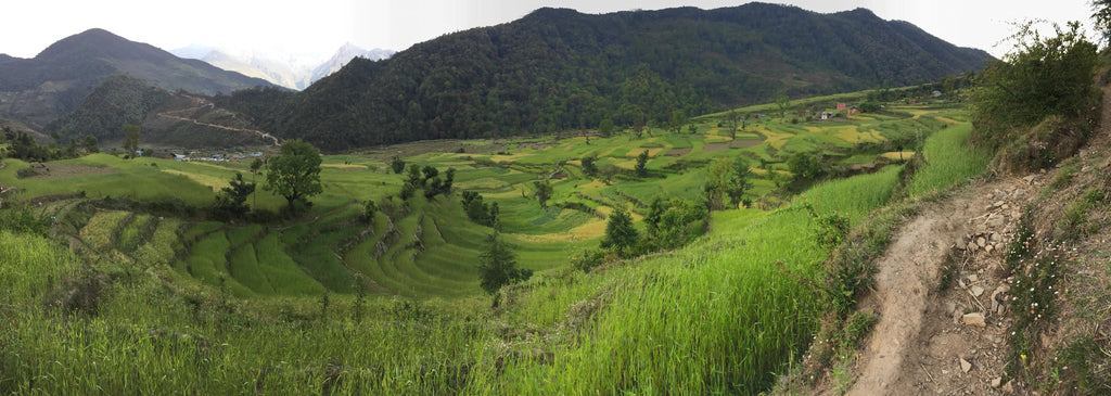 Nepal Greenery background