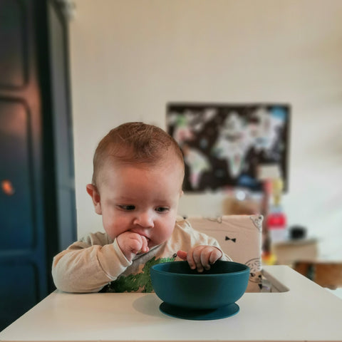 6 Piece Silicone Baby & Toddler Dinnerware Set, Baby Led Weaning