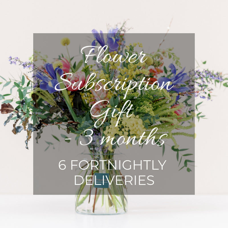 6 Month Subscription Flowers - DELIVERY in NEW CASTLE, PA