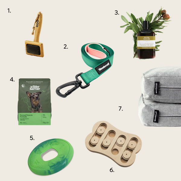 Sustainable Dog Gift Guide