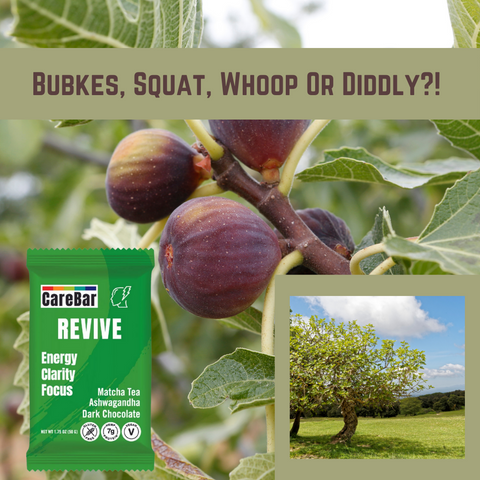 CareBar Revive Healthy mood snack figs 