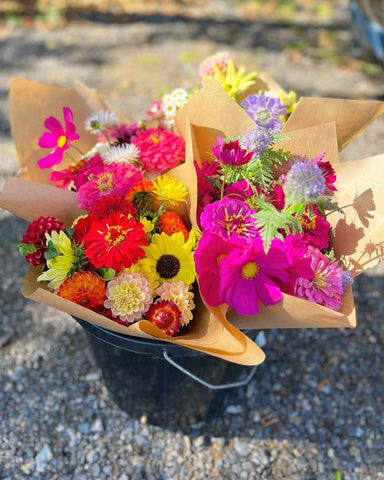 Field grown flowers available on subscription in Colchester and surrounding area
