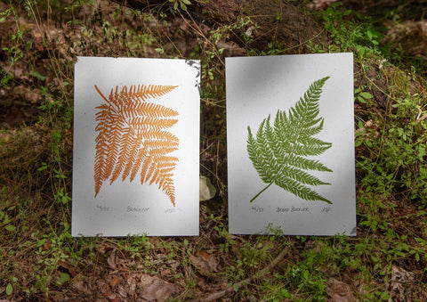 Two linocut prints of ferns in orange and green colourways