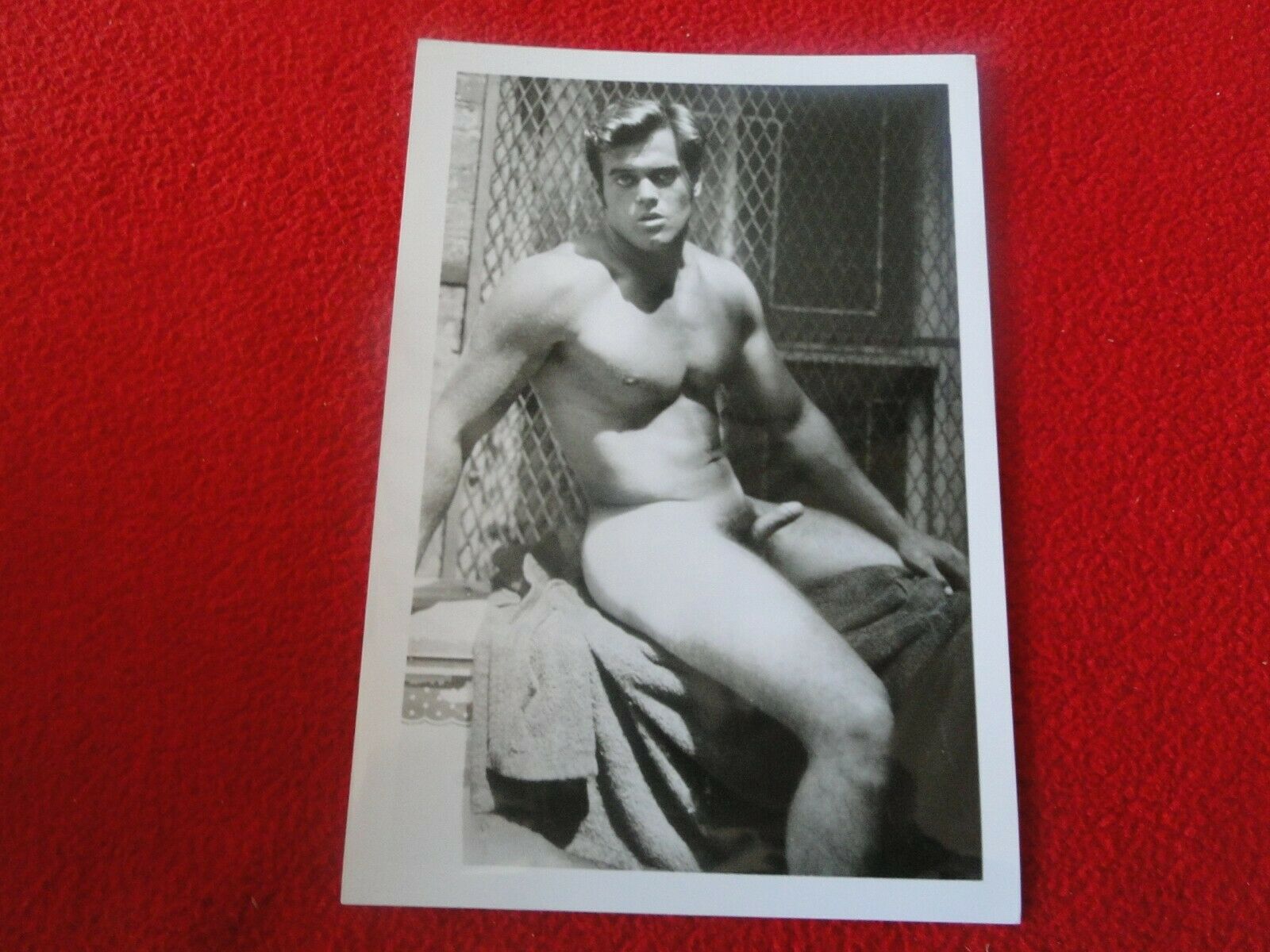 Gay Vintage Porn Photography - Vintage 18 Year Old + Gay Interest Nude Erotic Sexy Hot Hung Male Phot â€“  Ephemera Galore