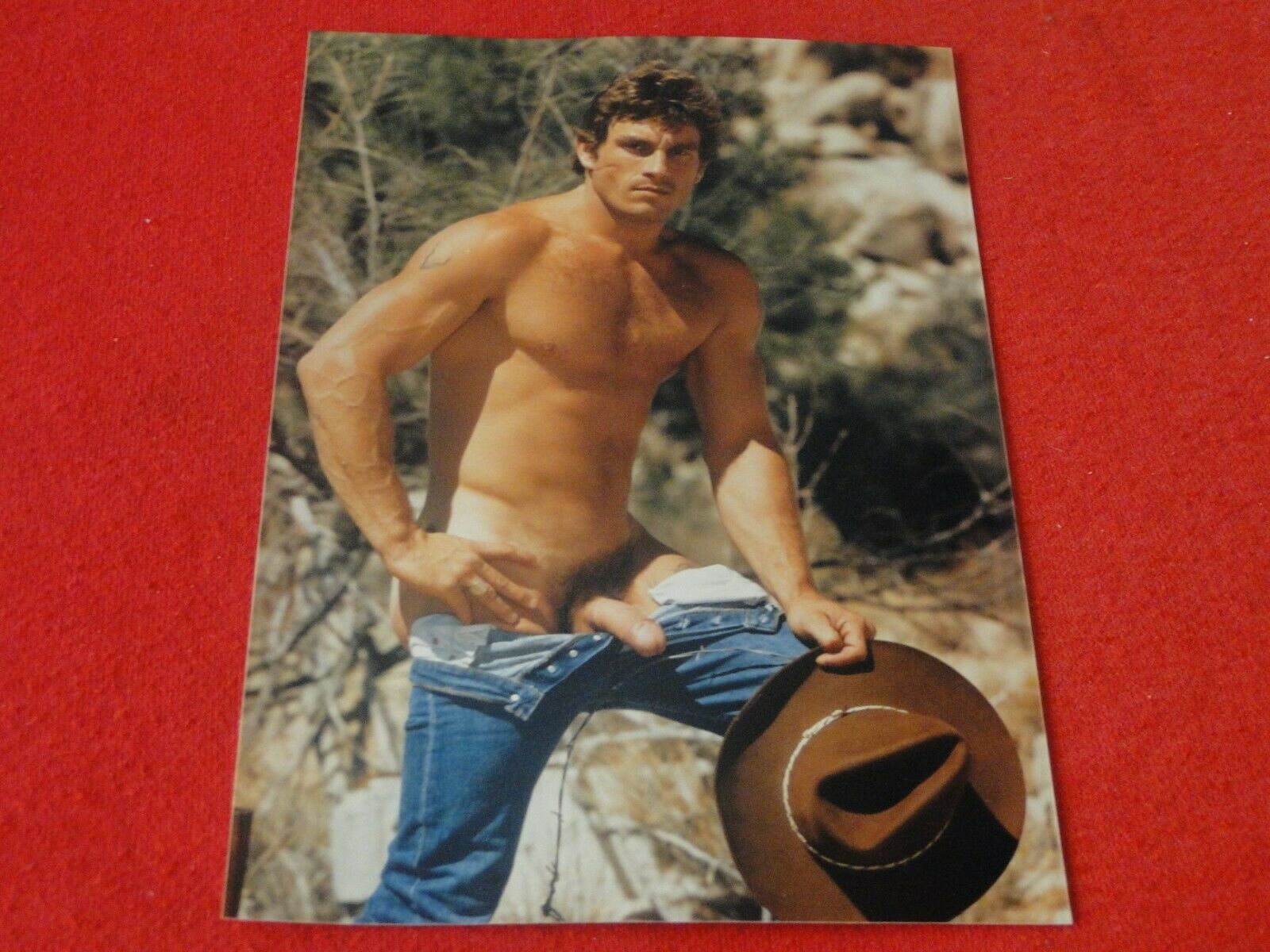 Vintage 18 Year Old + Gay Interest Nude Colt/Fox/Chippendales's Male P â€“  Ephemera Galore