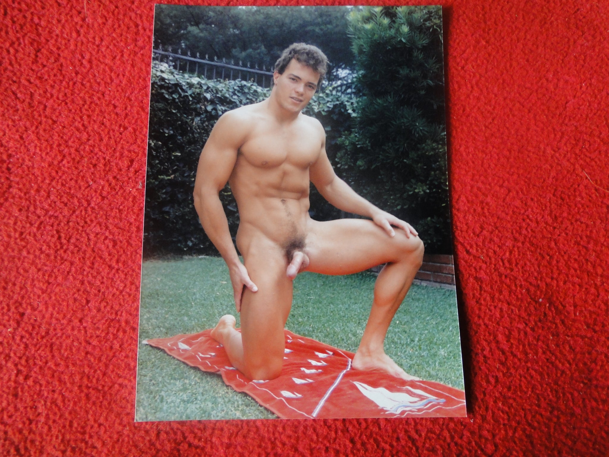 Vintage 18 Y.O. + Gay Interest Nude Hot Hung Muscular Male Colt/Fox Ph â€“  Ephemera Galore