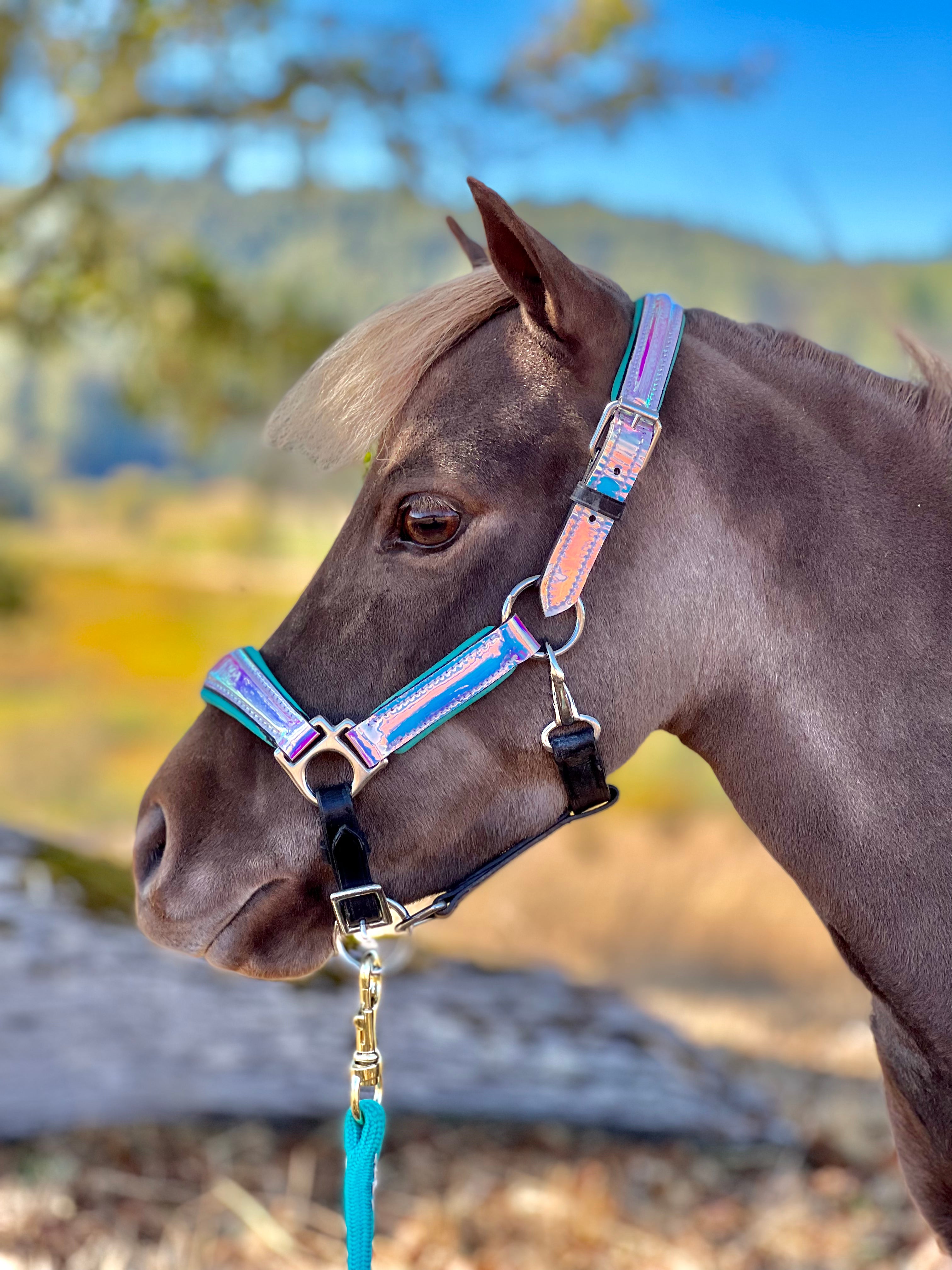 Black Holographic Designer Rhinestone Horse Halter Designer 