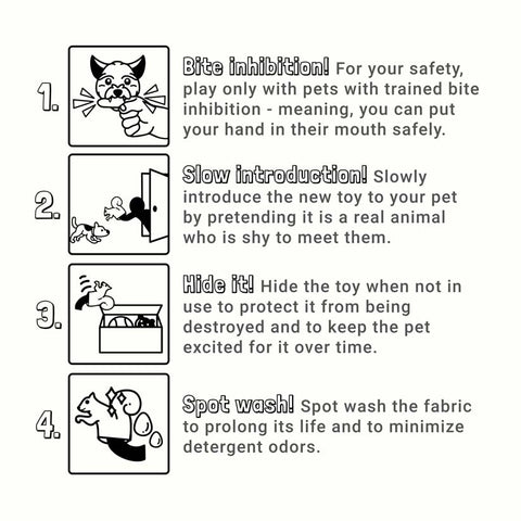 Instructions for introducing Pupr Pals toy hand puppet for dogs 