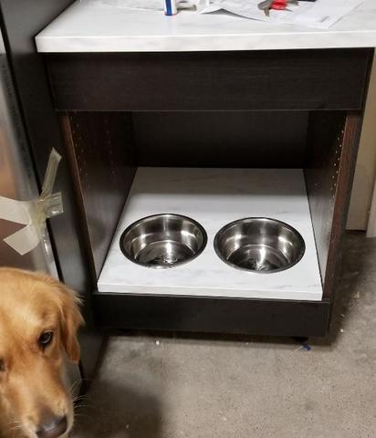 cabinet built in dog bowls golden retriever marble countertop