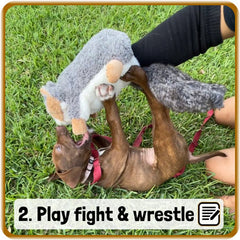 Brown puppy laying on its back in the grass wrestling with Pupr Pals squirrel hand puppet toy for dogs, text on image: 2. Play fight & wrestle