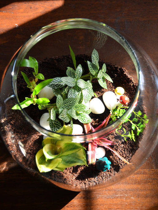 Round Terrarium (8 Inches) — Mudfingers