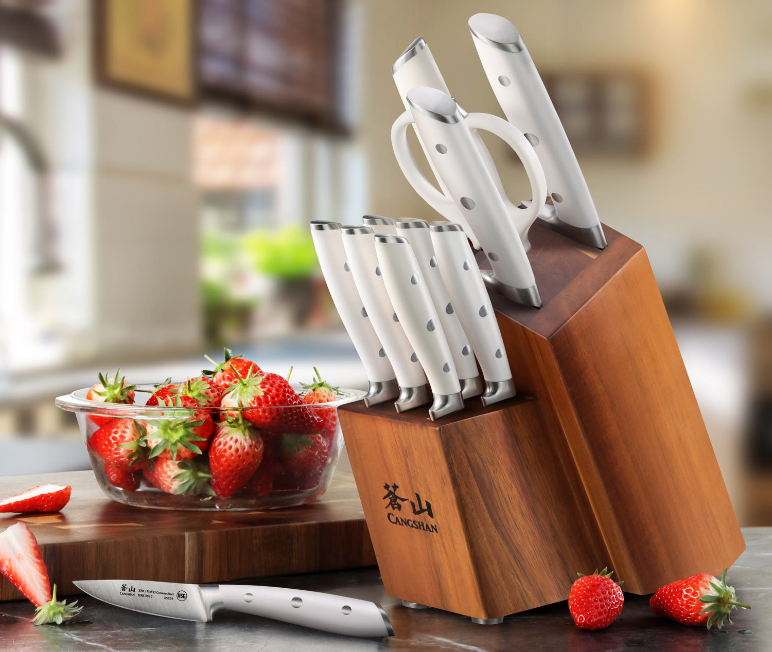 Combination 12-Piece Chef/Steak Knife Set in Block