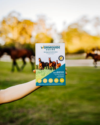 Worm Egg Counting Australia Kits Worming For Horses 