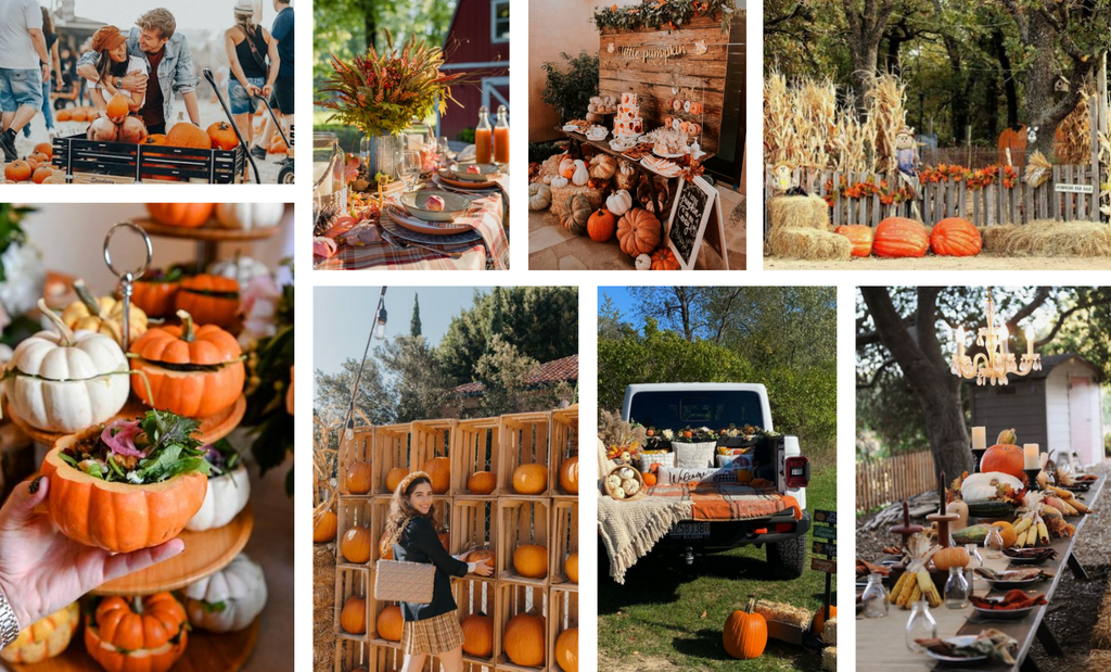 pumpkin patch party theme