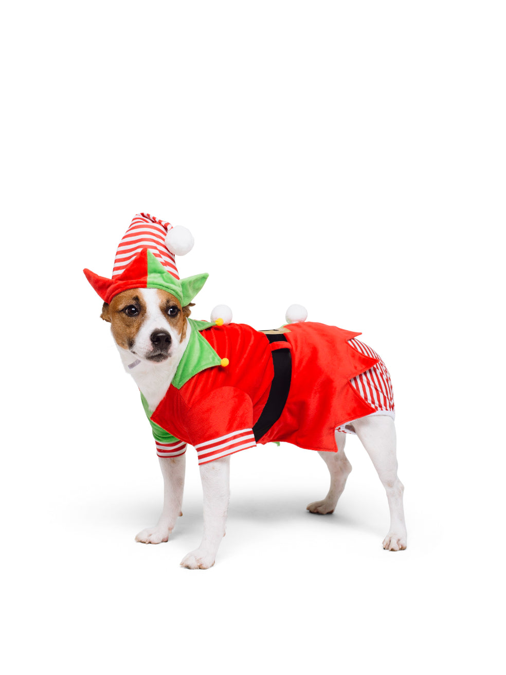 Festive and Fashionable Christmas Dog Outfit, Green and Red Elf Costum – JK  Trading Company Inc.
