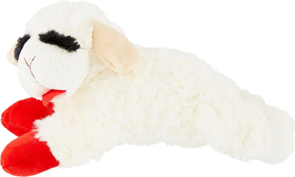 lamb squeaky dog toy