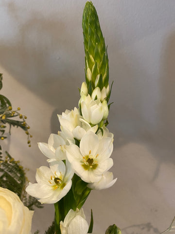 Ornithogalum - a long lasting choice for my monthly subscribers