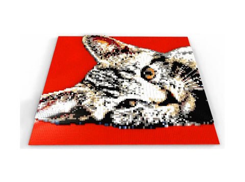 Color Relief Brick Mosaic of a cat portrait