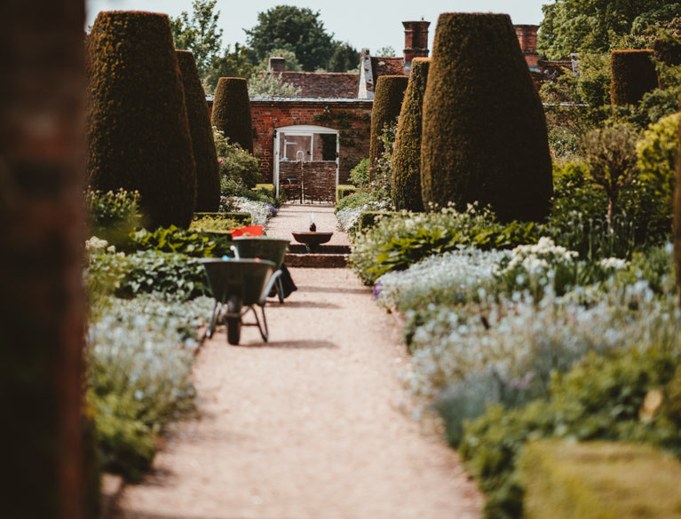 The best low maintenance garden border ideas…