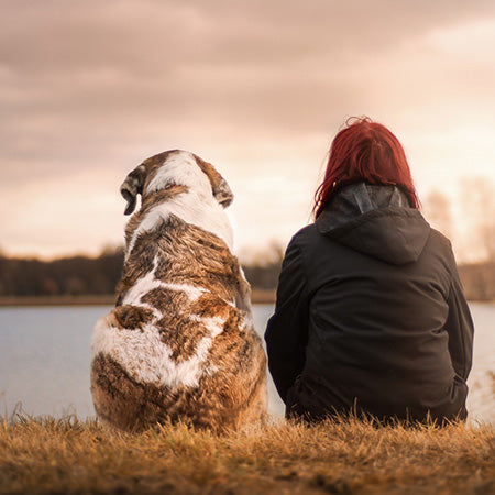 Kadın ve köpek gölü izliyor