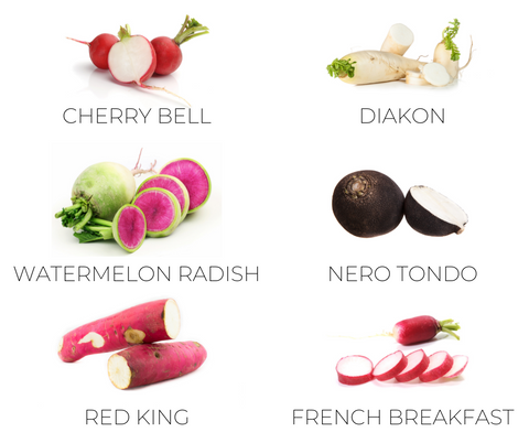 6 types of radishes 