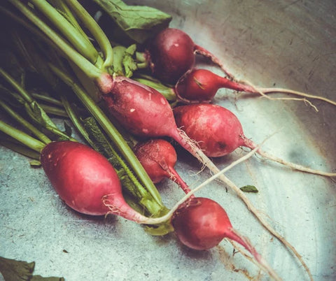 Radishes 