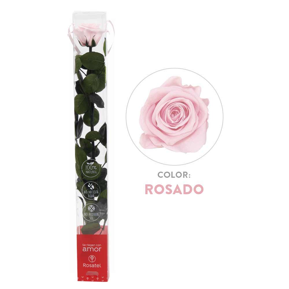 Rosa Preservada Rosado en Caja Acrílica - Forever PE