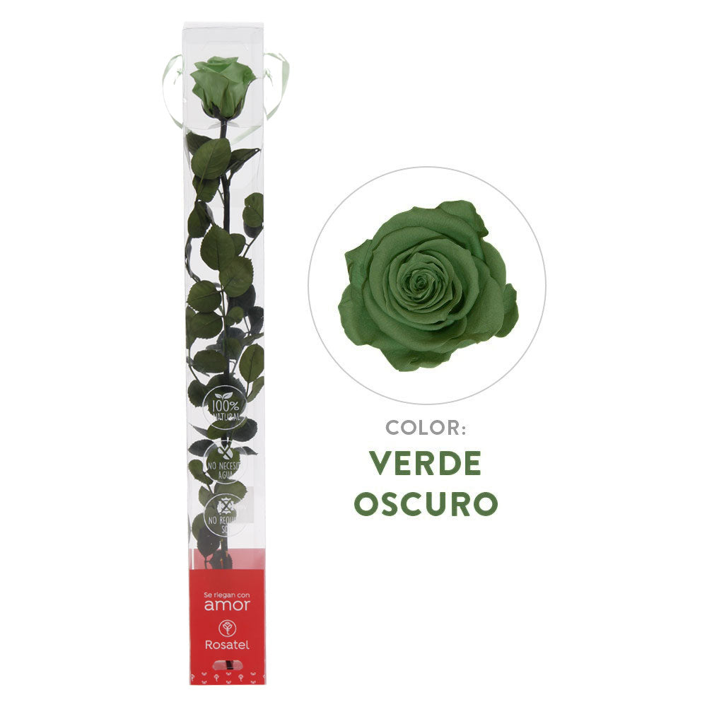 Rosa Preservada Verde Oscuro en Caja Acrílica - Forever PE