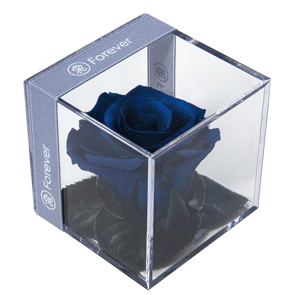 Rosa Preservada Azul Noche en Cubo - Forever PE