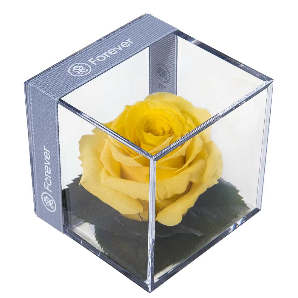 Rosa Preservada Amarilla en Cubo - Forever PE
