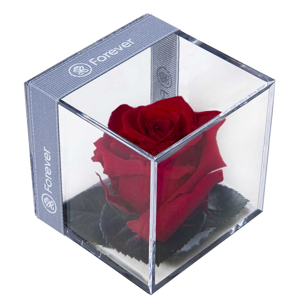 Cajas de Rosas Preservadas | Forever By Rosatel - Forever PE