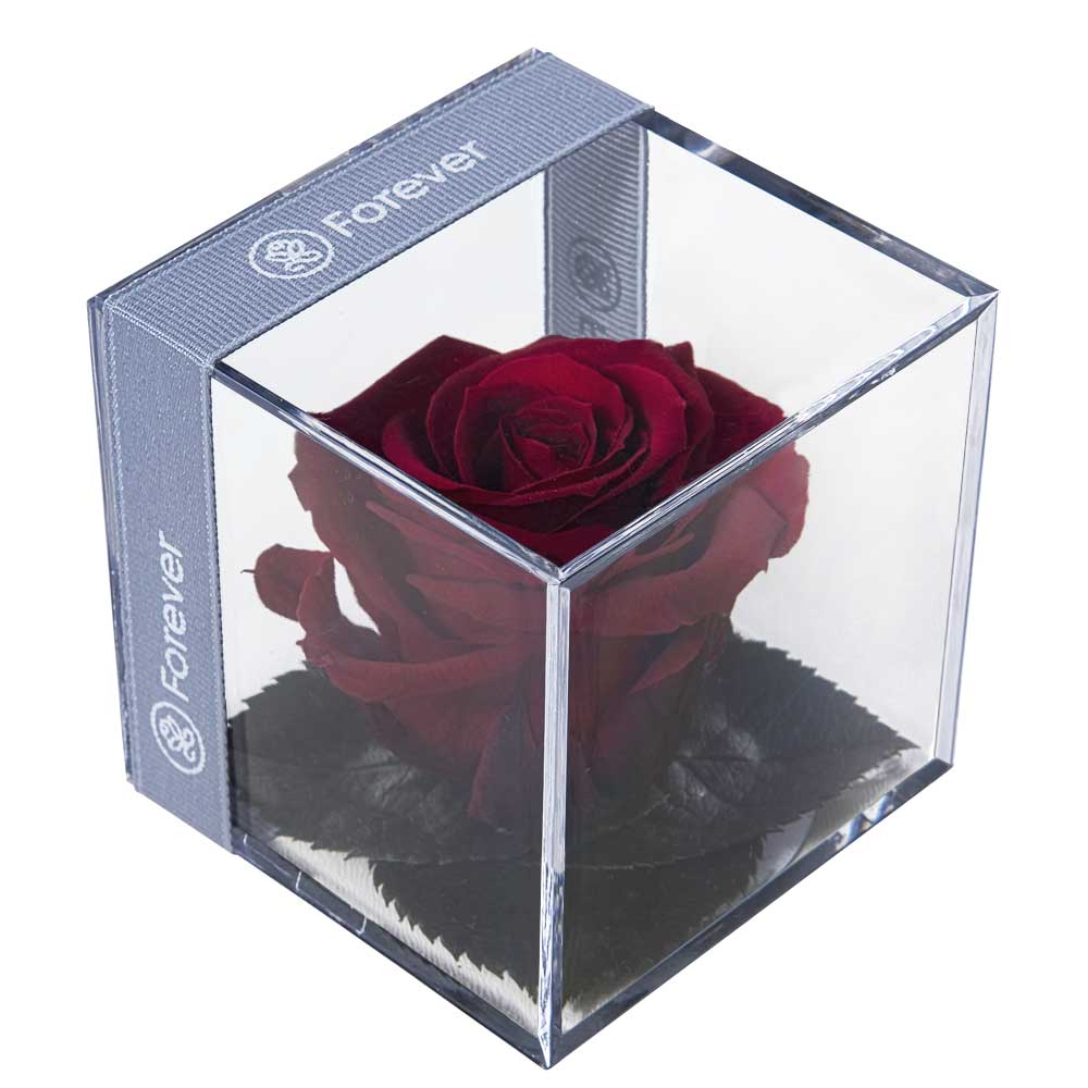 Rosa Preservada Príncipe Negro en Cubo - Forever PE