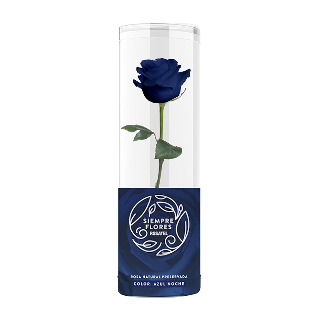 Rosa Preservada Short Azul Noche en Caja Acrílica - Forever PE