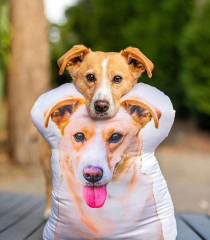 3D Dog Pillow Cushion