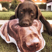 Load image into Gallery viewer, Your Dog - 3D Pillow
