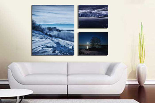 Custom Canvas Prints