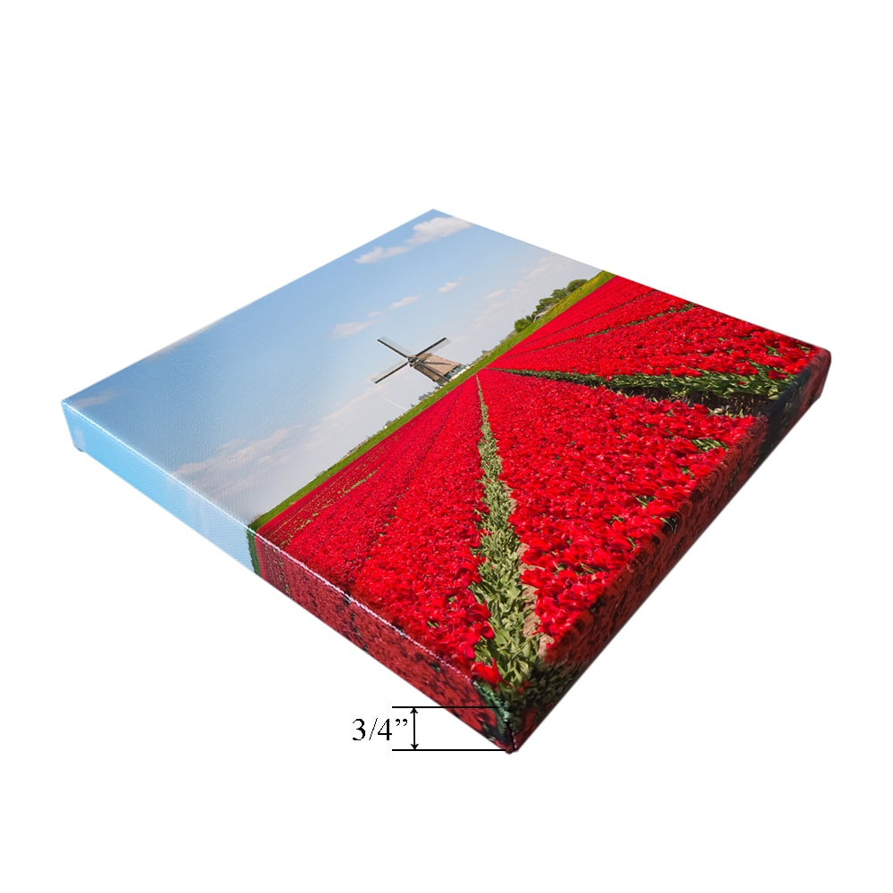 Enhanced Matte Photo Paper EMPP Prints - Germotte