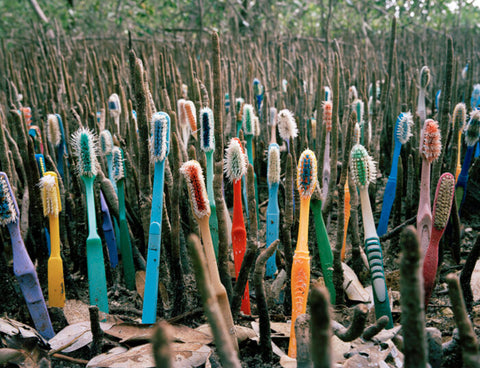 Toothbrushes Washed Up Photo Series by Alejandro Durán