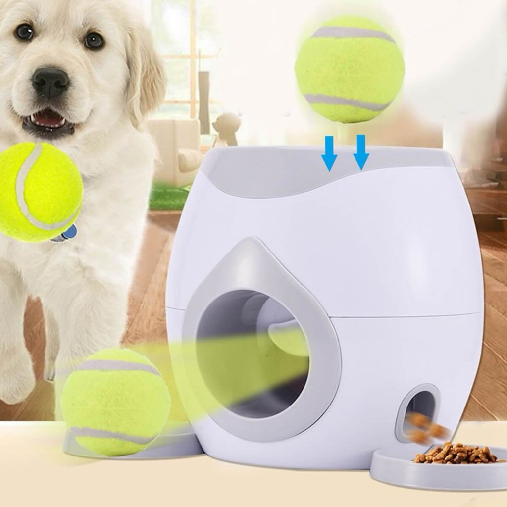 lanceur de balle de tennis pour chien